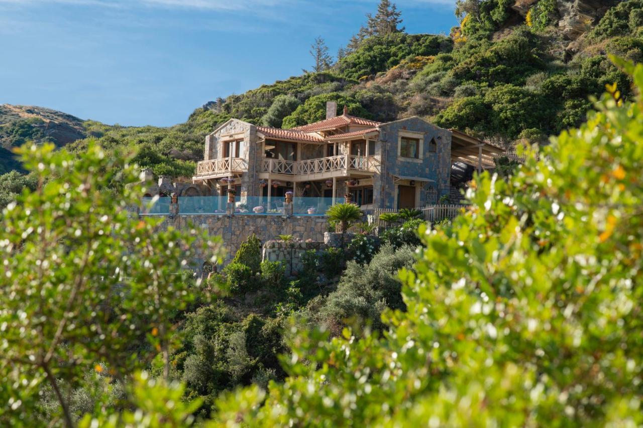 Felini Palace Ajía Pelajía Kültér fotó